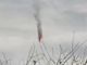 Сбитый российский самолет, 18.02.24. Скрин видео: t.me/arrowsmap